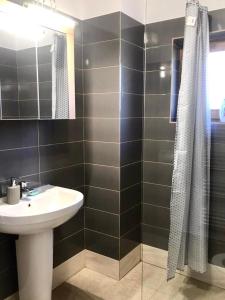 bagno con lavandino e doccia di Casa Luna a Cluj-Napoca