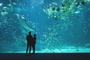 - un couple debout en face d'un grand aquarium dans l'établissement Aux Portes des Lacs, à Ardres