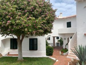 uma árvore em frente a uma casa branca com flores cor-de-rosa em Apartamento en frente de la playa em Son Parc