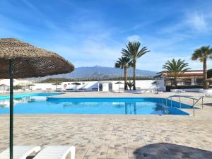 einen Pool mit Sonnenschirm und Palmen in der Unterkunft Casa Diana by HelloApartments in Costa Del Silencio