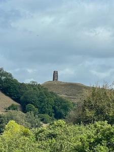 einen Turm auf einem Hügel mit Bäumen in der Unterkunft Brady’s Glastonbury beautiful pad great location! in Glastonbury