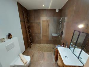 uma casa de banho com um chuveiro, um lavatório e um WC. em PURE, maison au calme à 10 min du centre ville em Quimper