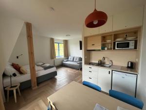 A kitchen or kitchenette at Hotel Edvard