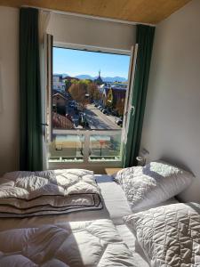 a bedroom with two beds and a large window at Boardinghouse-Landau in Landau in der Pfalz