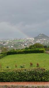 un champ d'herbe verte avec une ville au loin dans l'établissement Radices Bed & Breakfast, à Campobasso