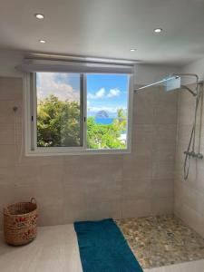 a bathroom with a window and a blue rug at Villa en bord de mer, vue mer au Diamant in Le Diamant