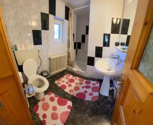 a bathroom with a toilet and a sink at Pensiunea Casa Bianca - Bucovina in Vama