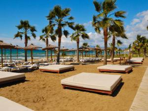 una playa con sillas, sombrillas y palmeras en Marbella Hills en Marbella