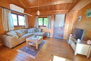 a living room with a couch and a tv at Hortensias in Somme-Leuze