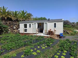 ein kleines weißes Haus mit einem Garten voller Pflanzen in der Unterkunft Casitas Mobil Home in Mazo