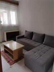 a living room with a couch and a coffee table at Evgen Apartment in Ohrid