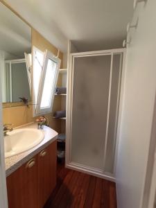 a bathroom with a shower with a sink and a mirror at Casitas Mobil Home in Villa de Mazo