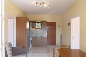 uma cozinha com um lavatório e um balcão em Dora Apartment Pagoi 2 em Agios Georgios Pagon