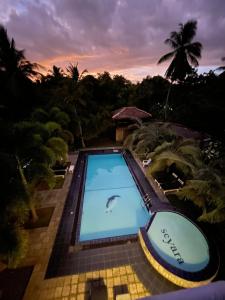 una piscina con delfino in acqua di Seyara Holiday Resort a Polonnaruwa