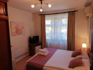 a bedroom with a bed and a television and a window at Petkov Family Hotel in Blagoevgrad