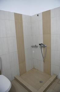 a bathroom with a shower with a toilet at Armenistis appartments with a view in Armenistis