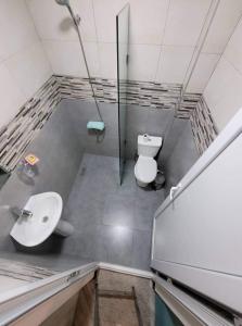 een badkamer met een wastafel en een toilet bij Family house in Borjomi