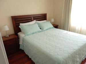 1 dormitorio con 1 cama blanca grande y 2 mesitas de noche en Lindo y acogedor Depto en el centro de la ciudad, en Santiago