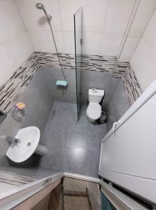 een badkamer met een toilet, een wastafel en een douche bij Family house in Borjomi