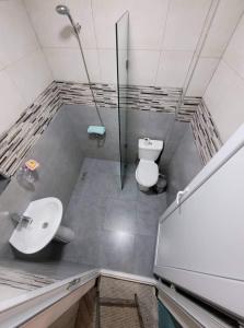 a bathroom with a toilet and a sink and a shower at Family house in Borjomi