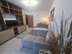 TV a/nebo společenská místnost v ubytování Ghencea Residence 158 L2.2 + 28 fotografií