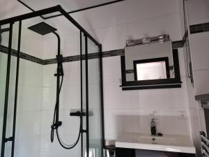 a bathroom with a shower and a sink at Gasthaus Paula in Üdersdorf