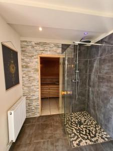 a bathroom with a shower and a walk in closet at Le Cocon - Gite Spa et Sauna privatif en Centre Alsace in Saint-Maurice