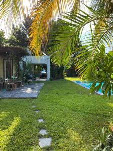 a backyard with a pool and a palm tree at Miami guest house with large pool in Miami