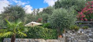 a garden with a stone wall and an umbrella at MICHELINA in Zoagli