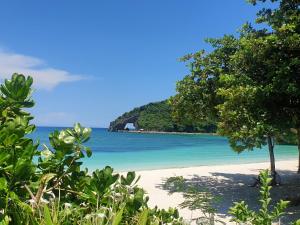 a view of a beach with trees and the ocean at Fairways and Bluewater Boracay in Boracay