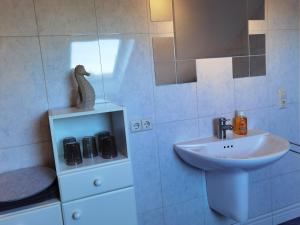 La salle de bains est pourvue d'un lavabo et d'un miroir. dans l'établissement Ländliche Idylle in Hochfranken, à Regnitzlosau
