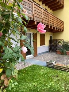 eine rosa Rose an der Seite eines Hauses in der Unterkunft APPARTAMENTO ELISA in Levico Terme