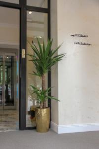 Vstupní hala nebo recepce v ubytování Garni hotel BARUT