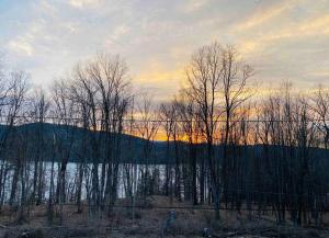 a group of trees in front of a body of water at Rustic Catskills Farmhouse with Lake Views & Wildlife in Gilboa +59 photos