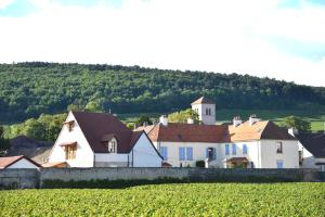 a large white house with a hill in the background at Les Deux Chèvres in Gevrey-Chambertin