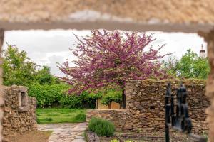 A garden outside Finca El Azahar