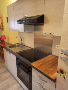 A kitchen or kitchenette at Altissim Tres Estrelles