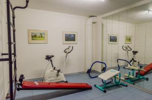 Fitness centrum a/nebo fitness zařízení v ubytování Haus Weesterhuk Whg 10