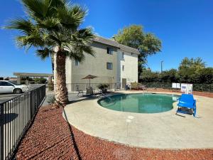 a pool with a palm tree and a blue chair at Sutter Inn in Yuba City