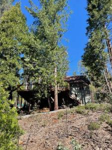 uma casa numa colina no meio das árvores em Lakeside BLS Retreat near Big Trees & Bear Valley em Arnold