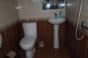 a bathroom with a toilet and a sink at 21 На удачу in Rustavi