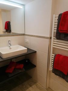 ein Bad mit einem Waschbecken und einem Spiegel in der Unterkunft Bichlerhof in Hopfgarten in Defereggen