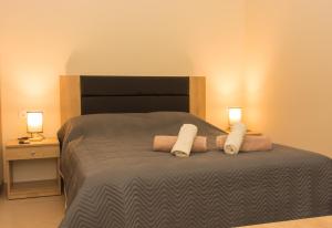 Postel nebo postele na pokoji v ubytování Central Luxury Studio 2