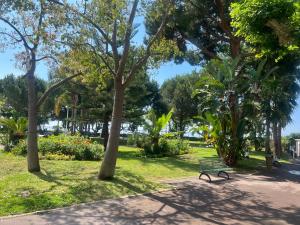 un parc avec un banc et des arbres dans un parc dans l'établissement Studio piscine proche plage et palais des festivals cannes banane, à Cannes