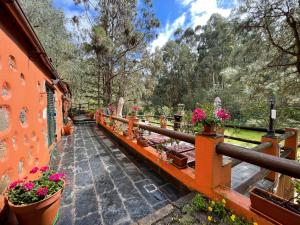 einen Balkon mit Topfpflanzen auf einem Zaun in der Unterkunft Casa Rural en medio del bosque, El Lance in Firgas