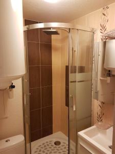 a shower with a glass door in a bathroom at Edelweiss Prapoutel les 7 Laux in Les Adrets