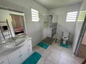 y baño con lavabo, aseo y ducha. en Villa Diam-Arlet en Les Anses-dʼArlets