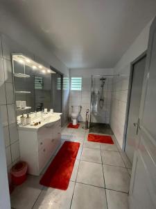 y baño con lavabo, ducha y aseo. en Villa Diam-Arlet en Les Anses-dʼArlets