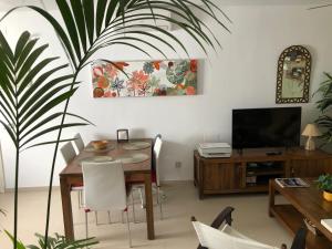 Televízia a/alebo spoločenská miestnosť v ubytovaní ABA Tropical & ABA Suite
