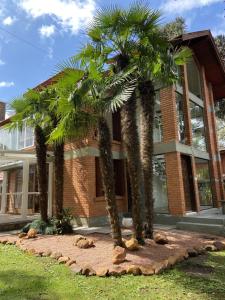 a group of palm trees in front of a building at Apartamento Foss in Gramado